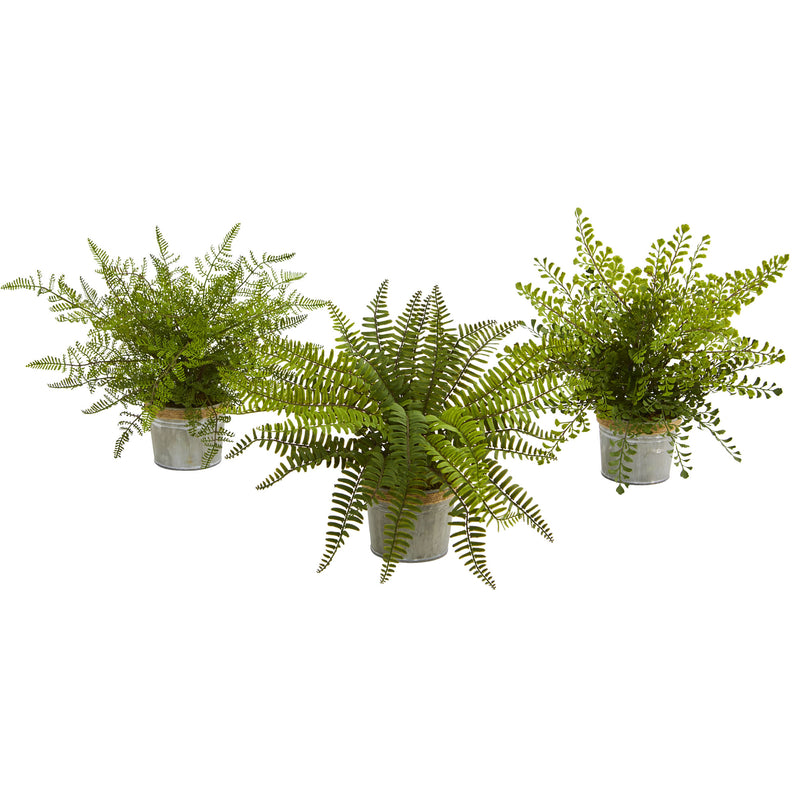 14" Assorted Ferns with Planter Artificial Plant (Set of 3)