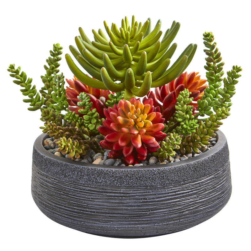 12” Succulent Garden Artificial Plant in Bowl